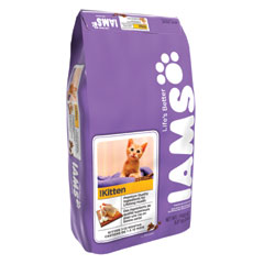 IAMS_kitten.jpg